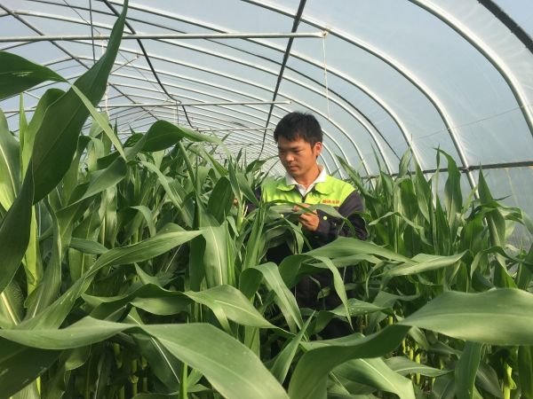 台面优配 【好评中国·追光青年】“新农人”的科技兴农路