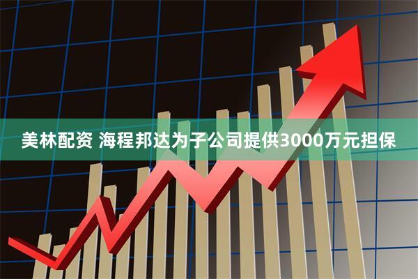 美林配资 海程邦达为子公司提供3000万元担保