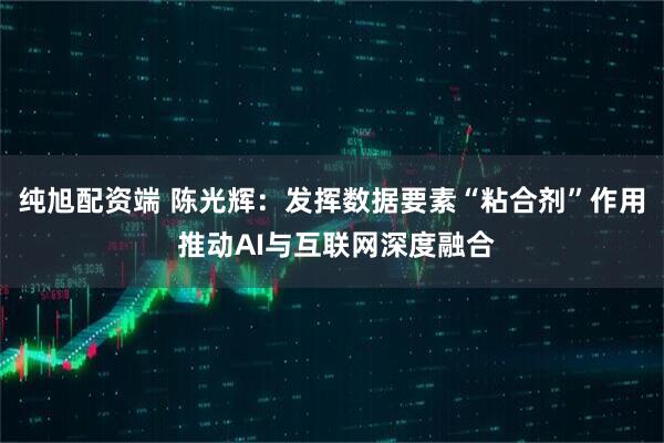 纯旭配资端 陈光辉：发挥数据要素“粘合剂”作用 推动AI与互联网深度融合