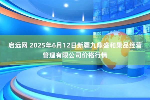 启远网 2025年6月12日新疆九鼎盛和果品经营管理有限公司价格行情