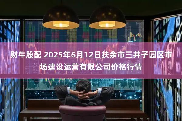 财牛股配 2025年6月12日扶余市三井子园区市场建设运营有限公司价格行情