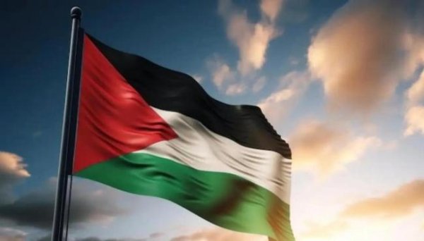 天牛配资 巴勒斯坦真正建国的关键是什么 联合国承认之路艰难