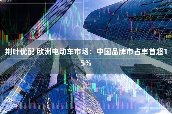 荆叶优配 欧洲电动车市场：中国品牌市占率首超15%
