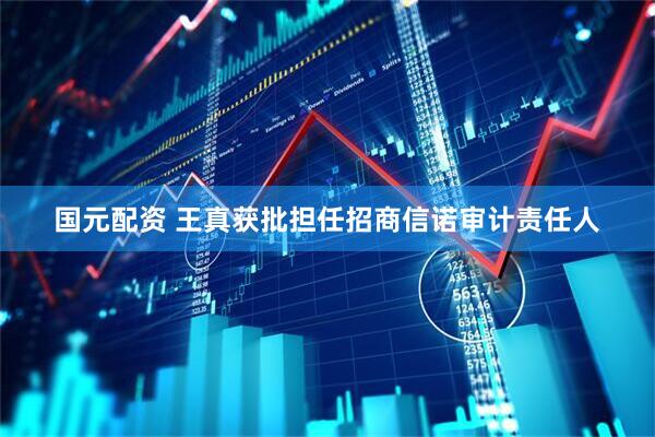 国元配资 王真获批担任招商信诺审计责任人